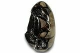 Septarian Dragon Egg Geode - Black Crystals #302861-2